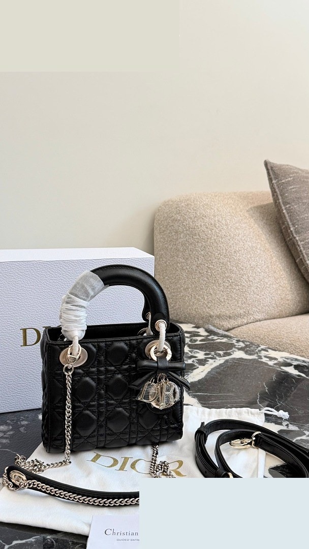 CD Bag 204