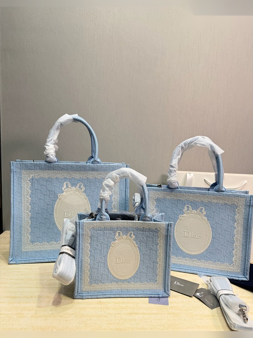 CD Bag 229