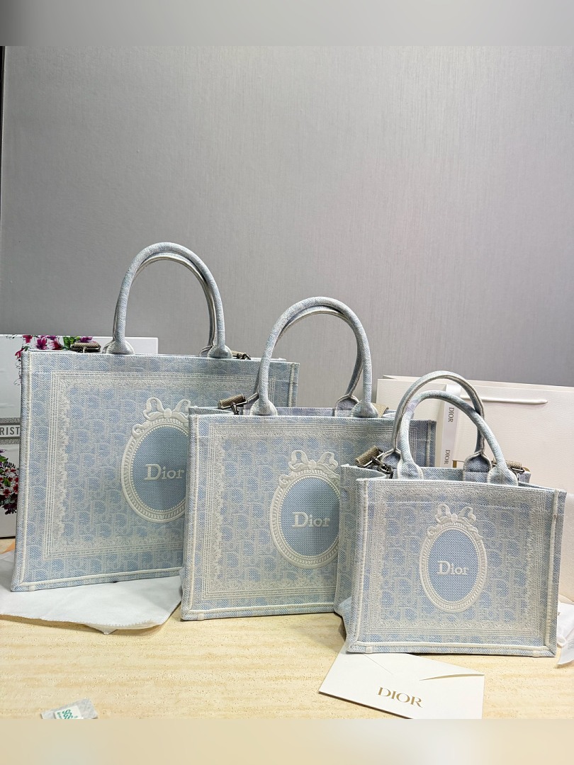 CD Bag 231
