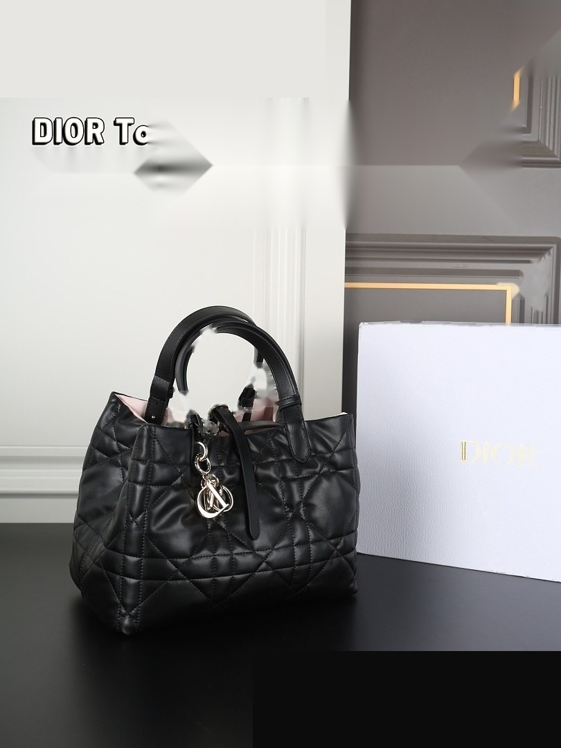CD Bag 246