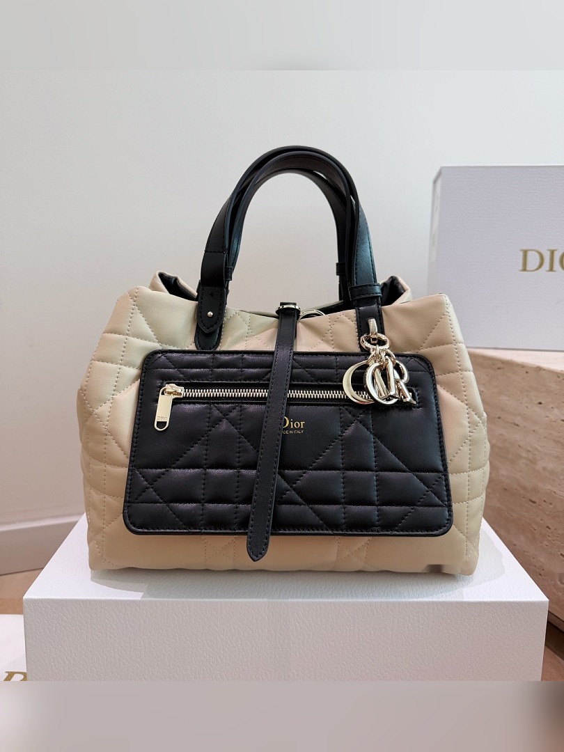 CD Bag 251
