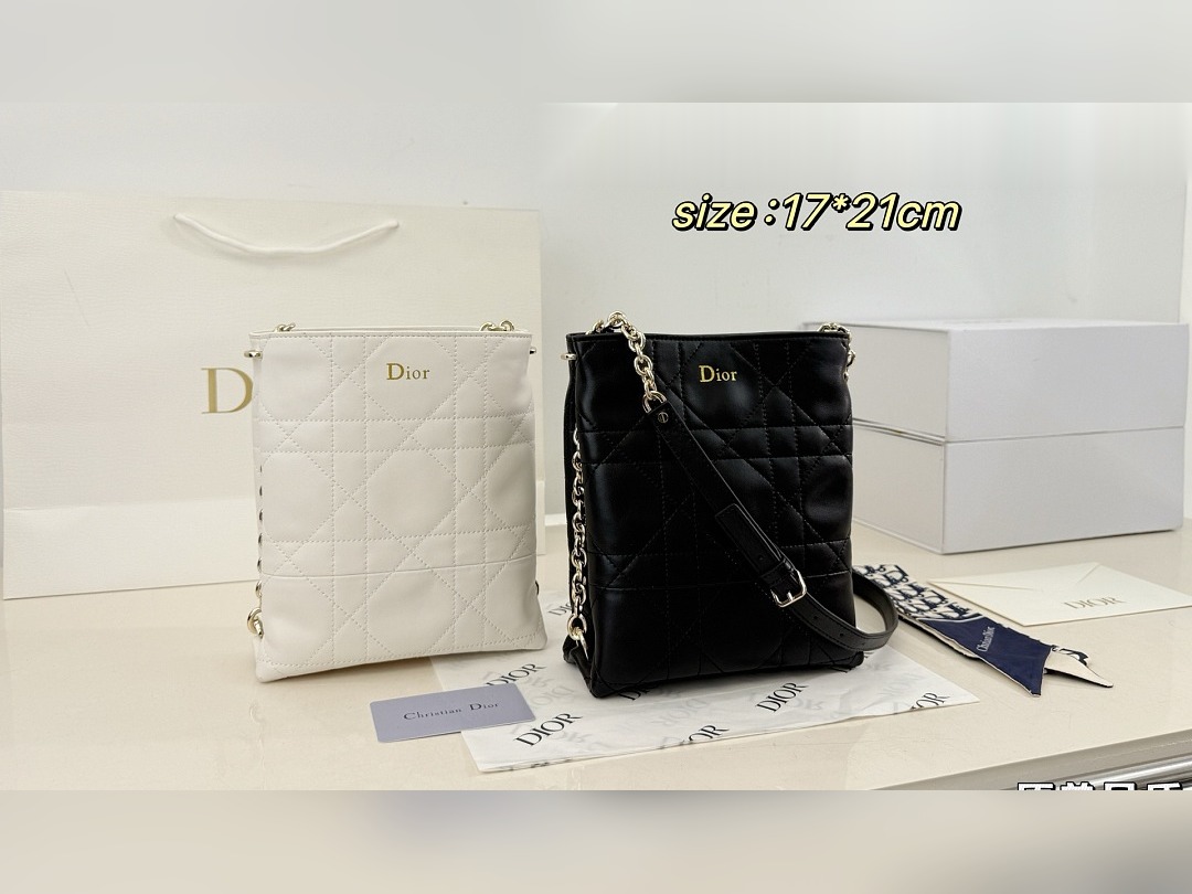 CD Bag 305