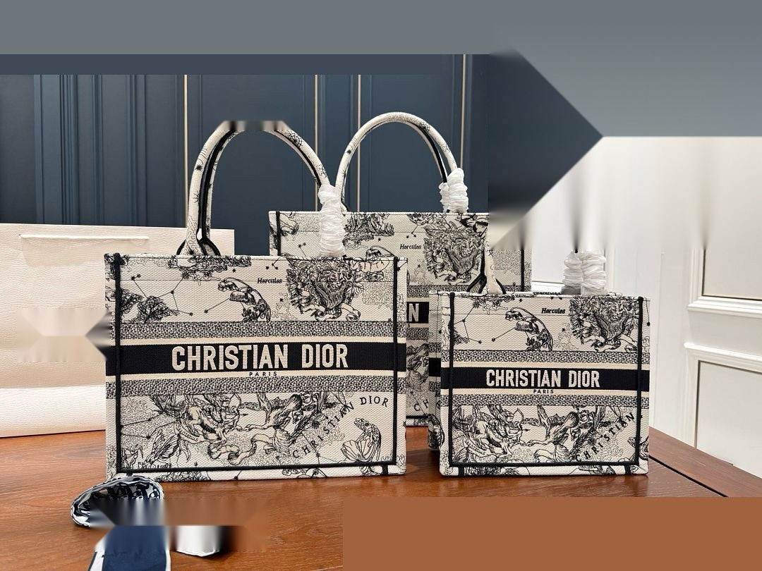 CD Bag 312