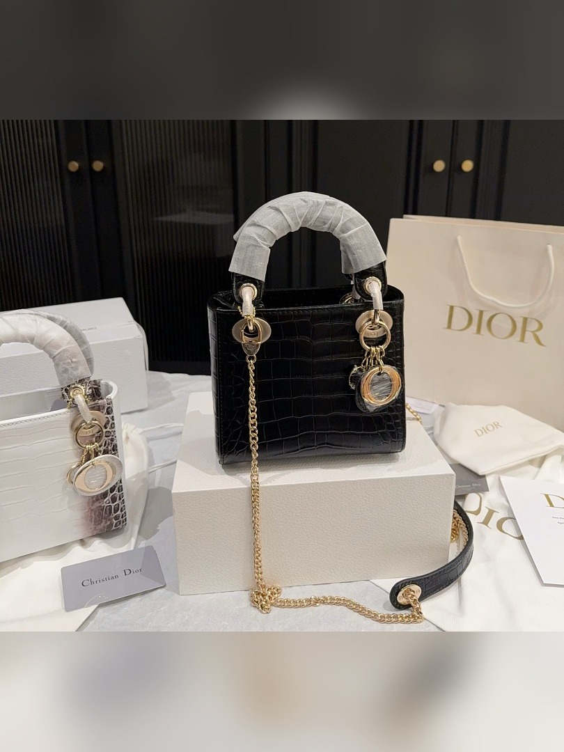 CD Bag 481