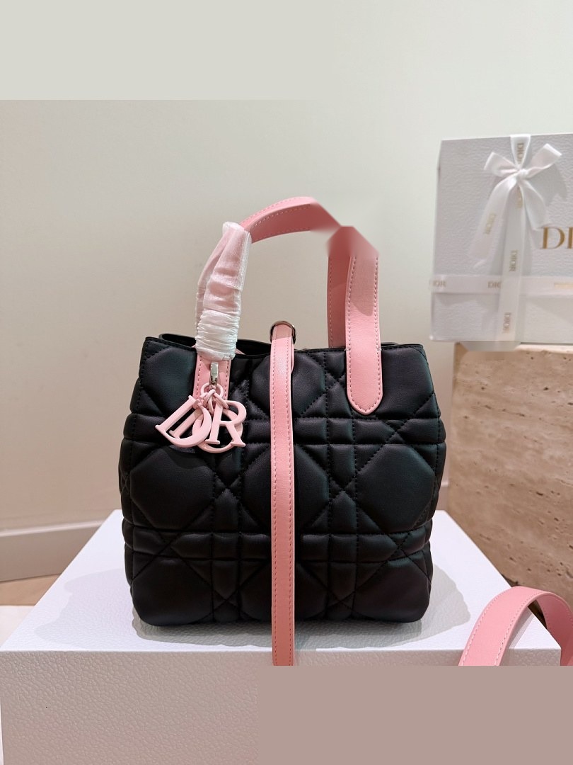 CD Bag 487