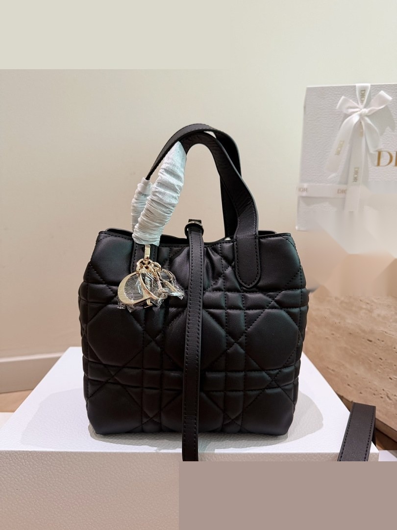 CD Bag 490