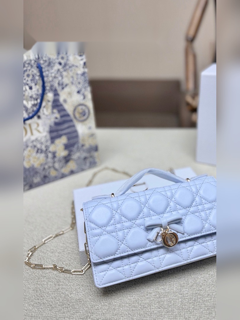 CD Bag 501