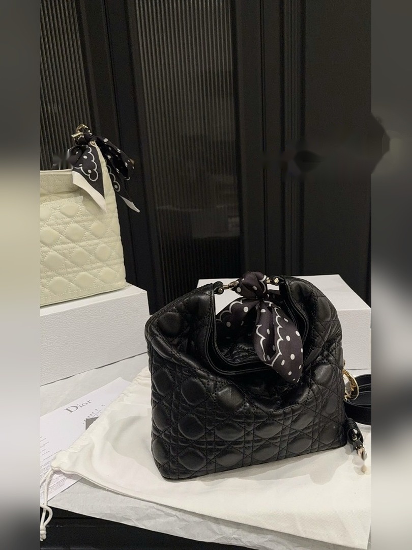 CD Bag 543