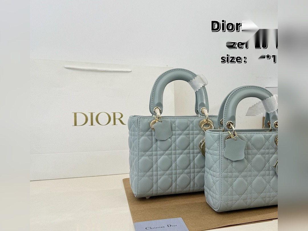 CD Bag 550