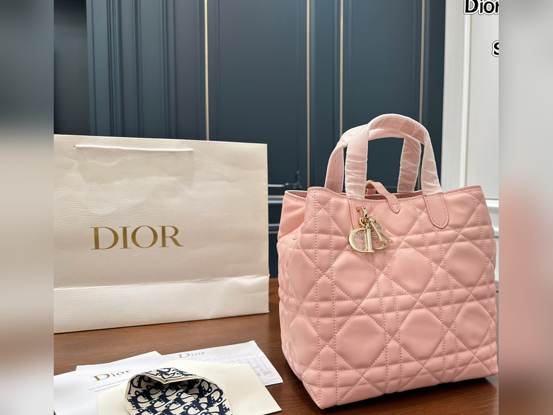CD Bag 585