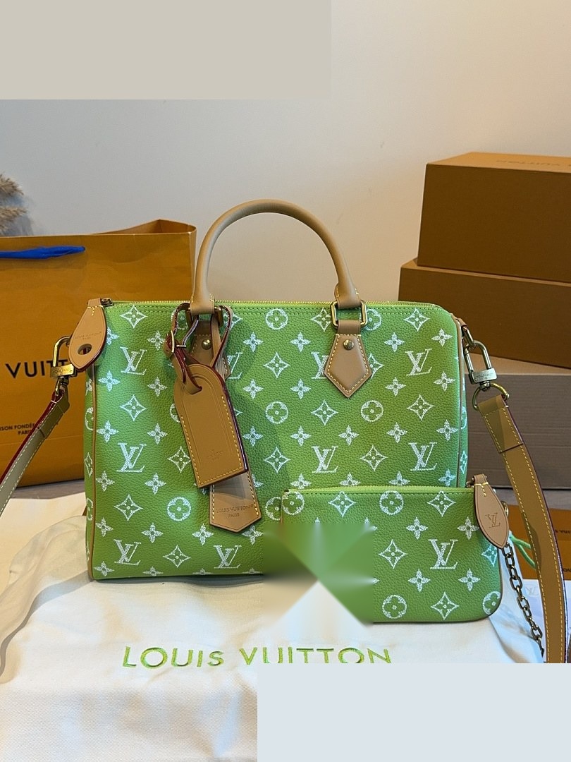 LV Bag 012