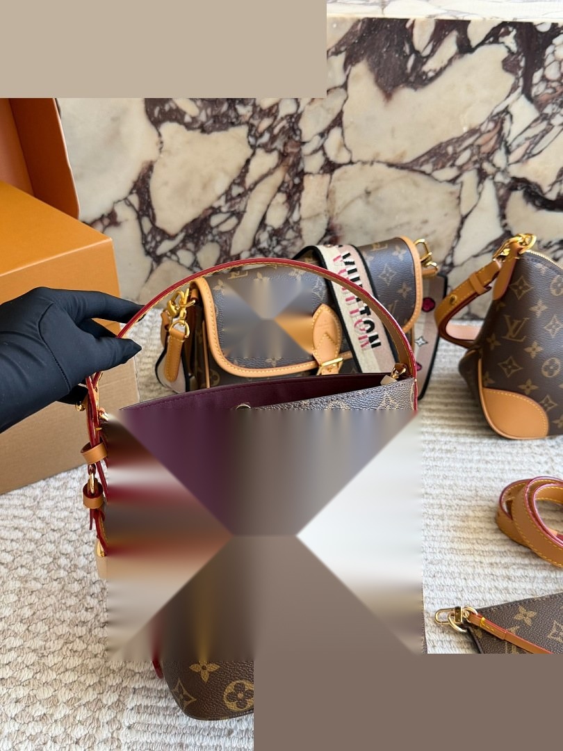LV Bag 013
