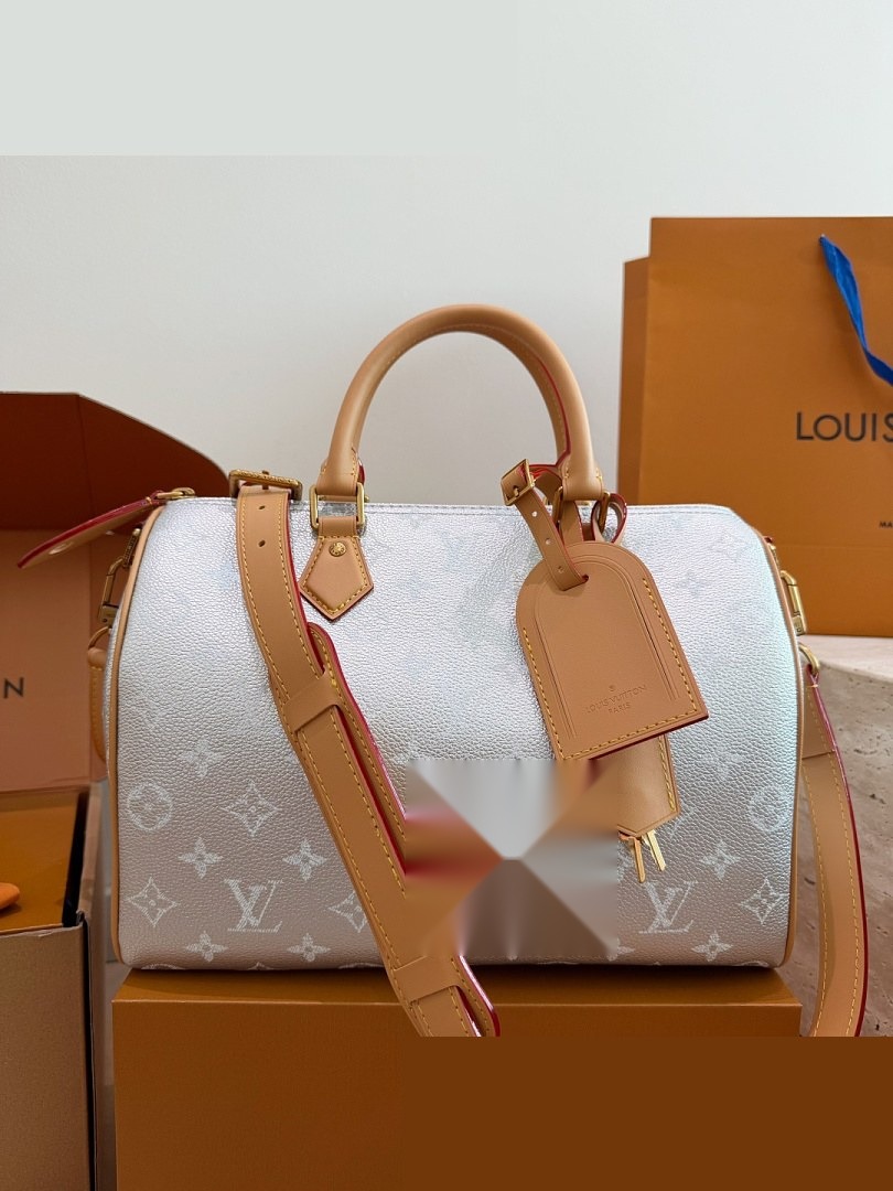 LV Bag 017