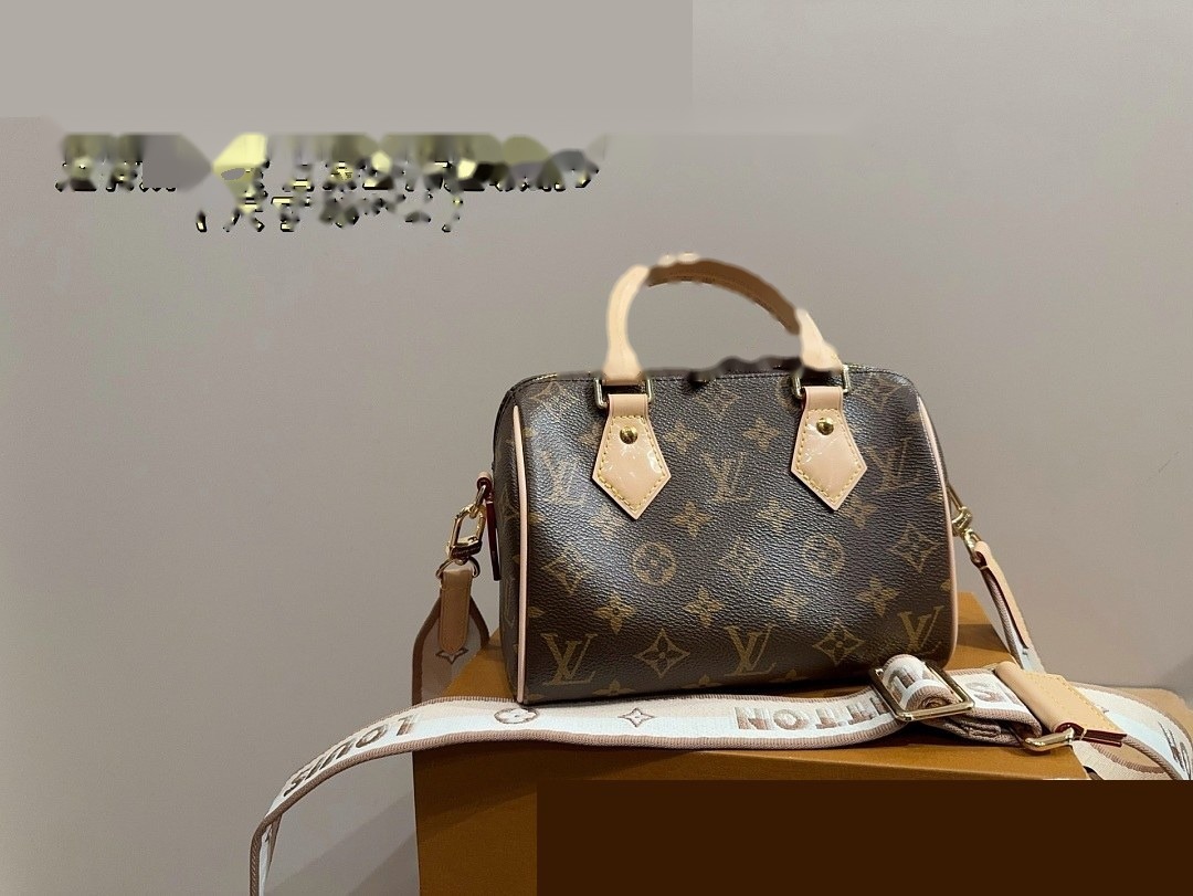 LV Bag 028