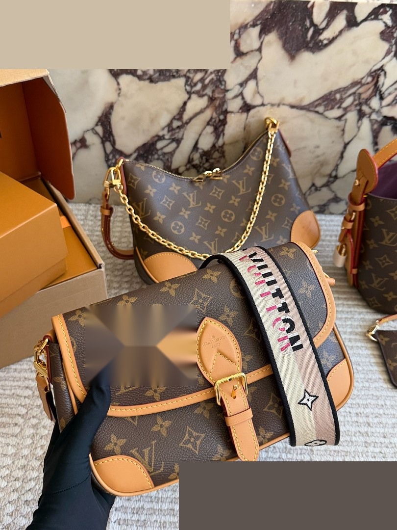 LV Bag 031
