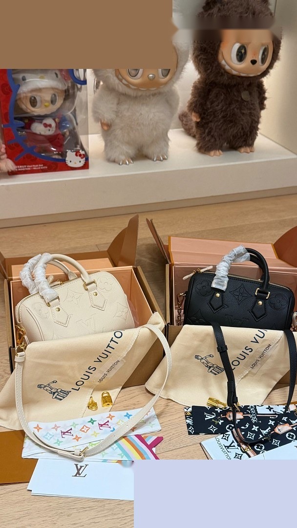 LV Bag 036