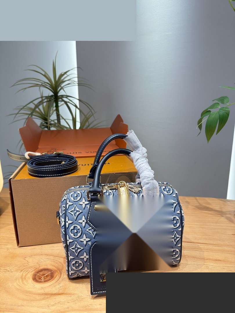 LV Bag 165
