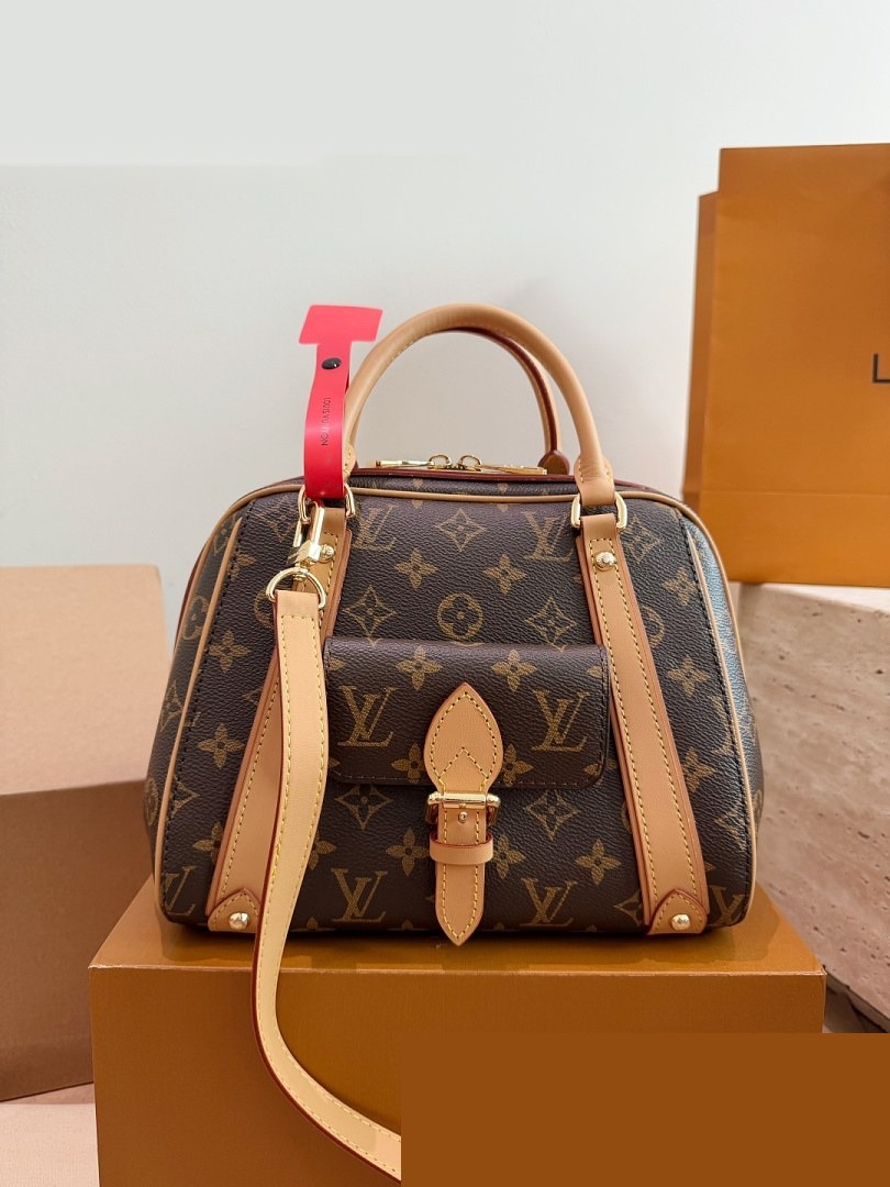 LV Bag 176