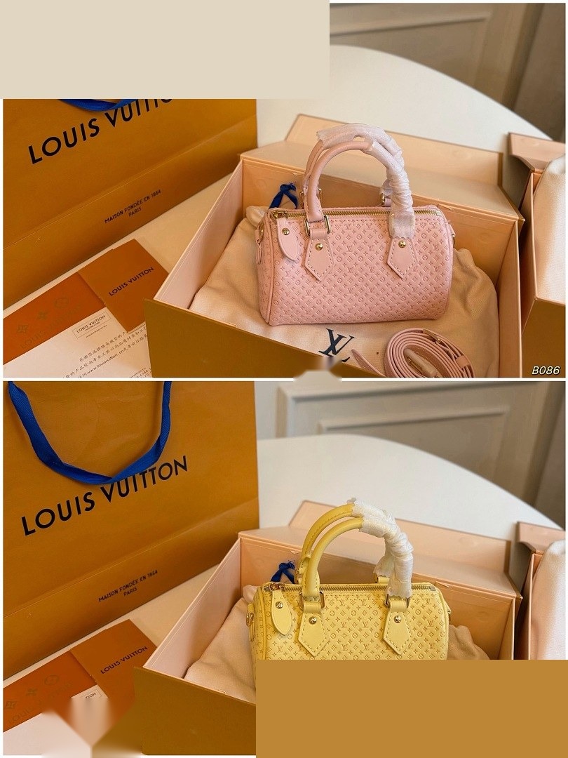 LV Bag 198