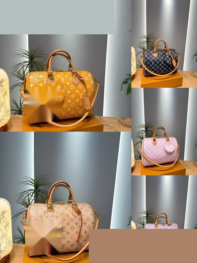 LV Bag 205