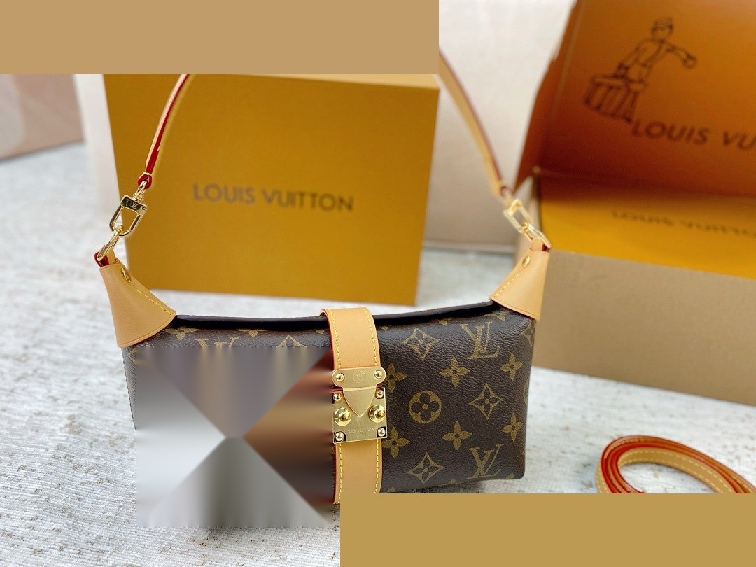 LV Bag 210