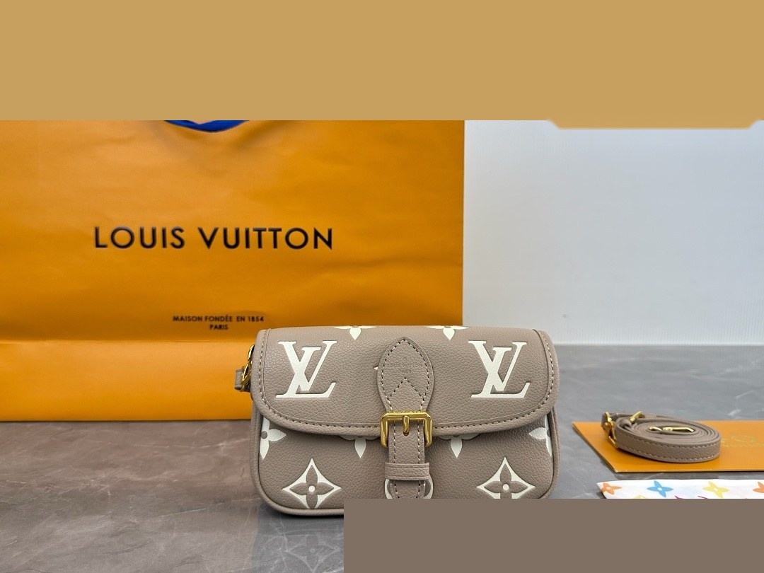 LV Bag 223