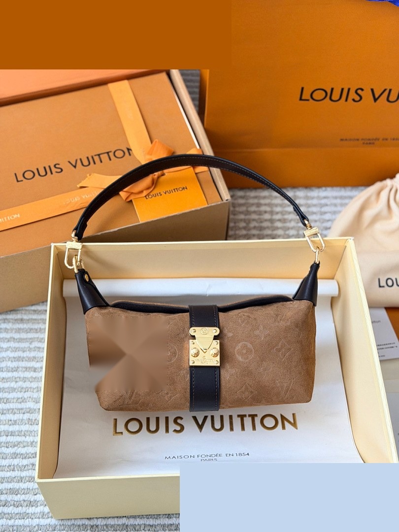 LV Bag 236