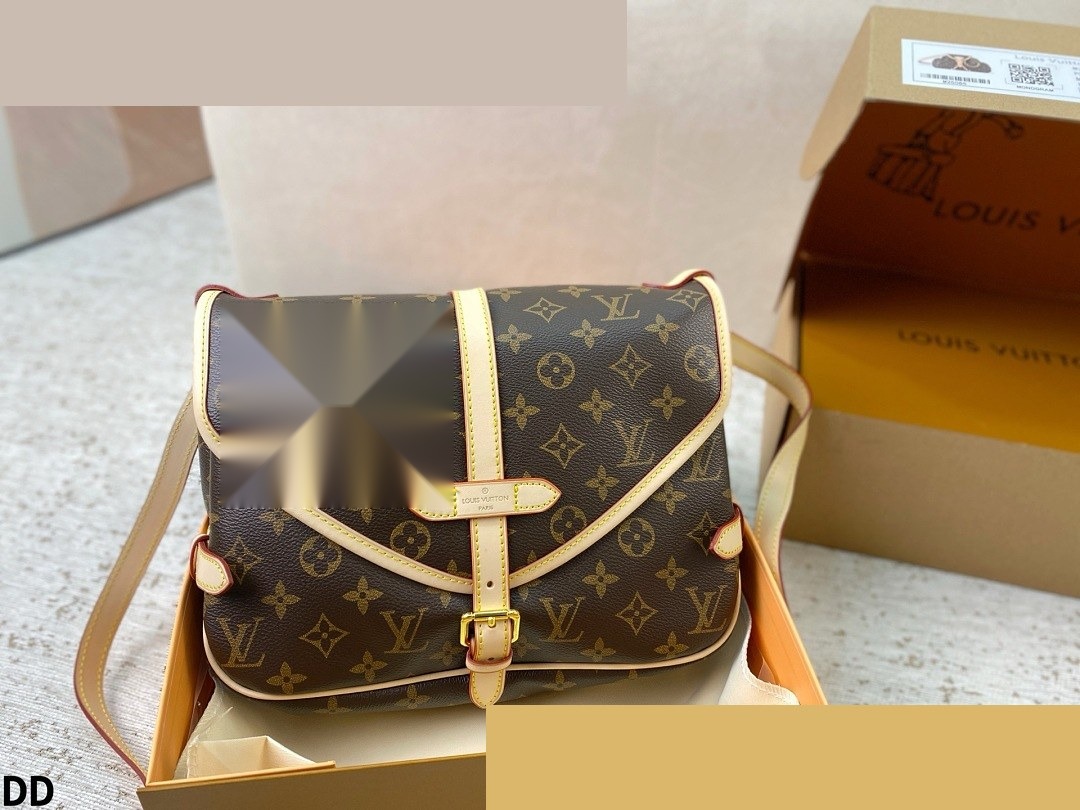 LV Bag 240