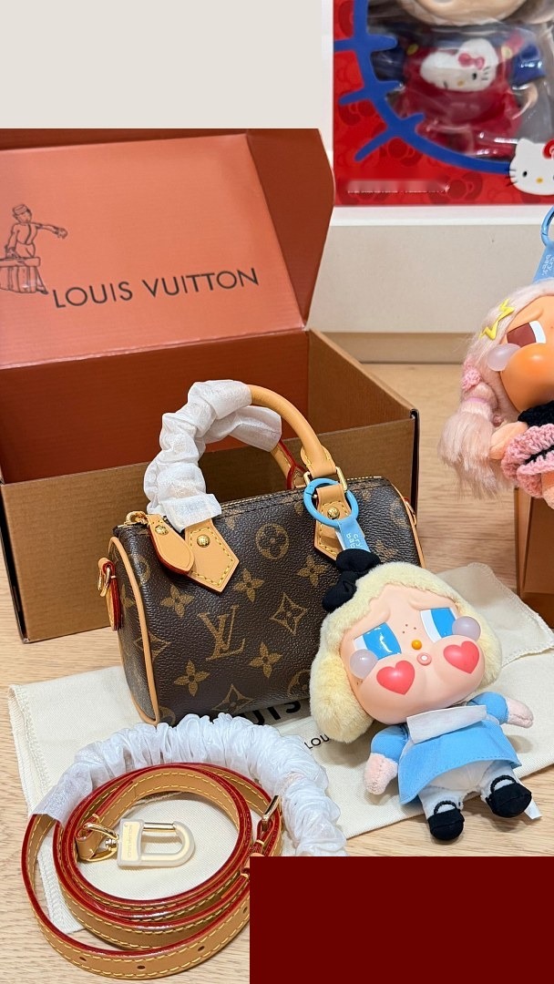 LV Bag 241