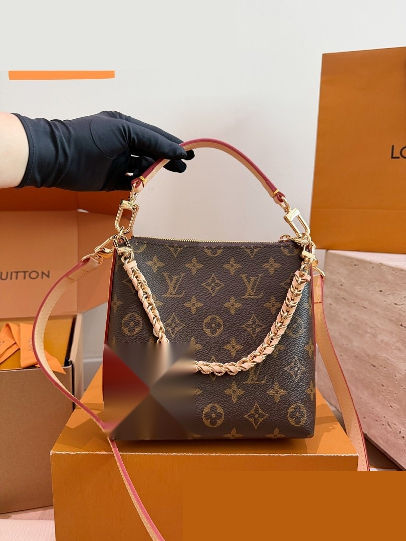 LV Bag 249