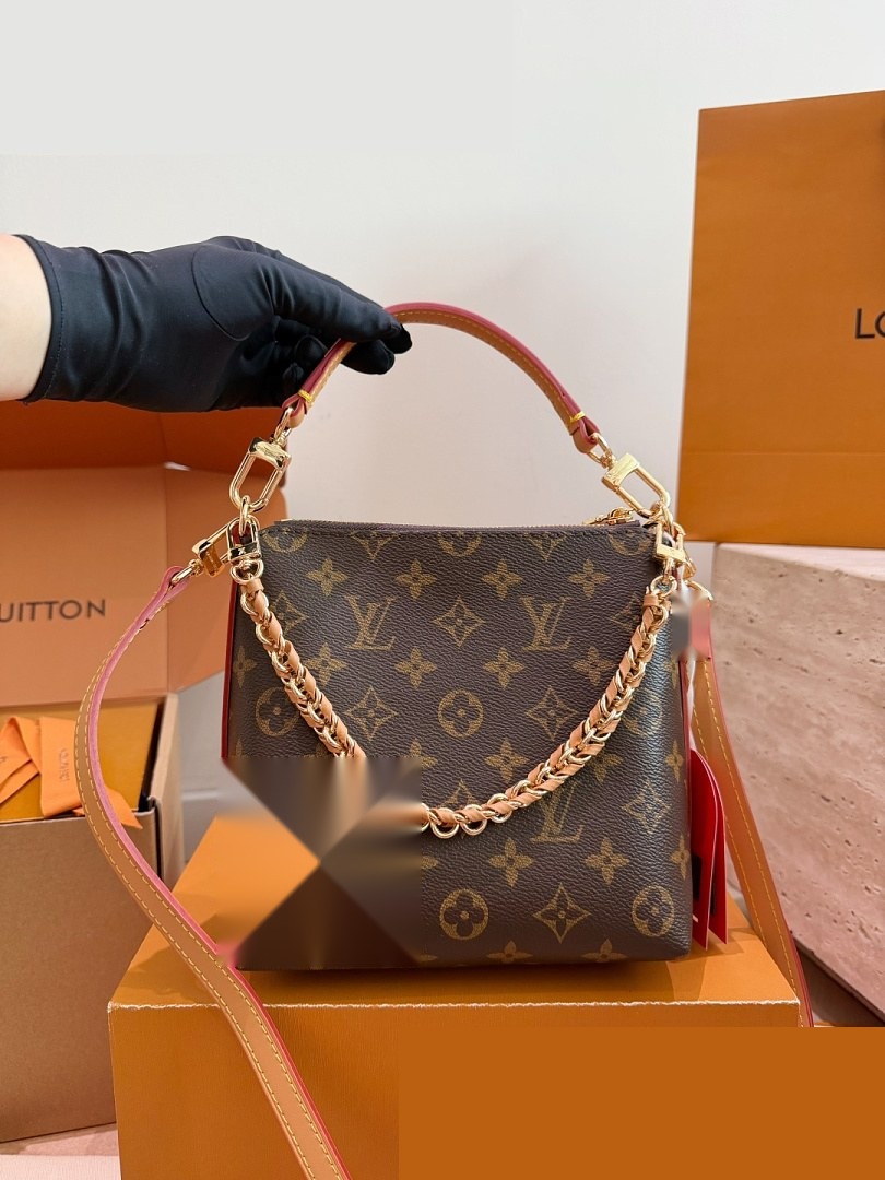 LV Bag 250