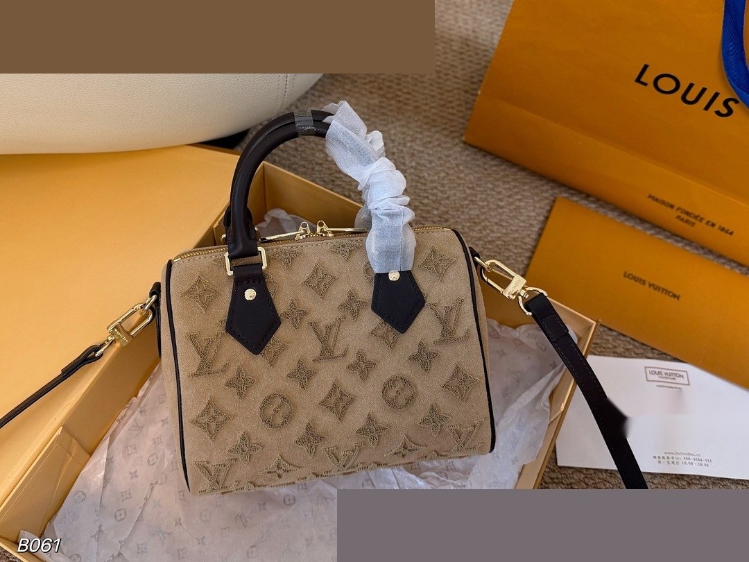 LV Bag 256