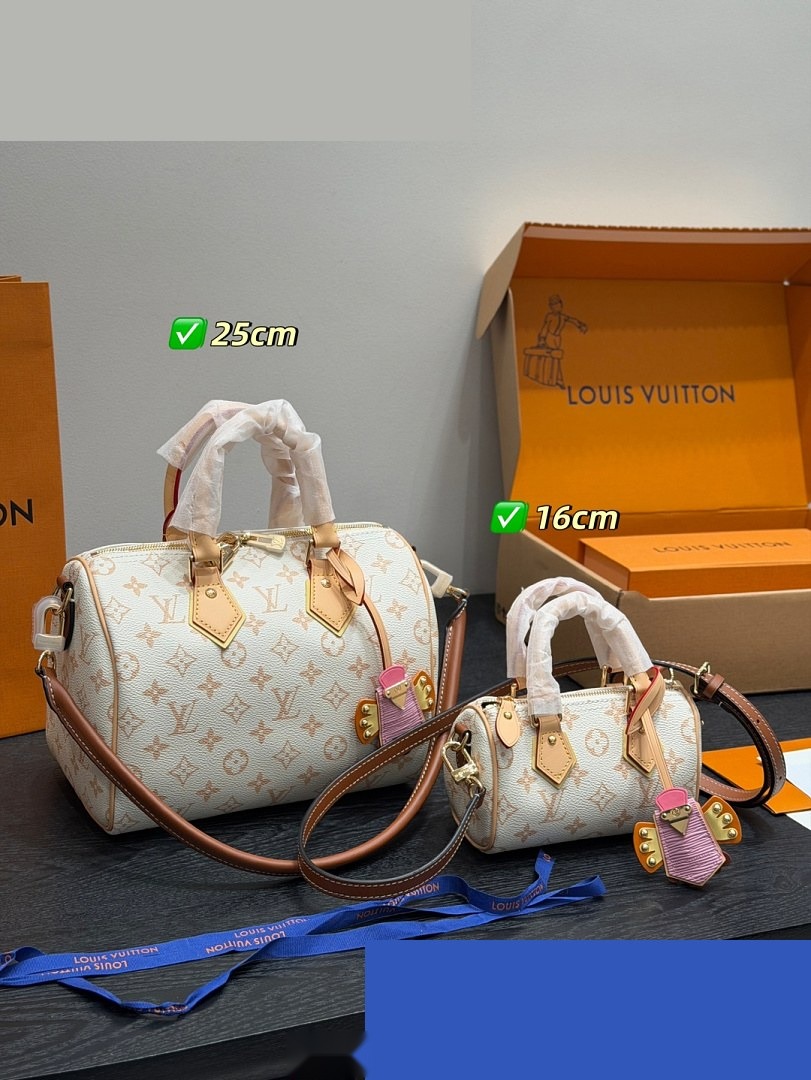 LV Bag 261