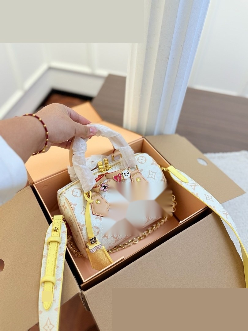 LV Bag 293