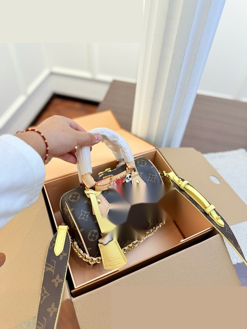 LV Bag 294