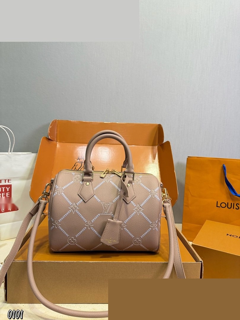 LV Bag 309