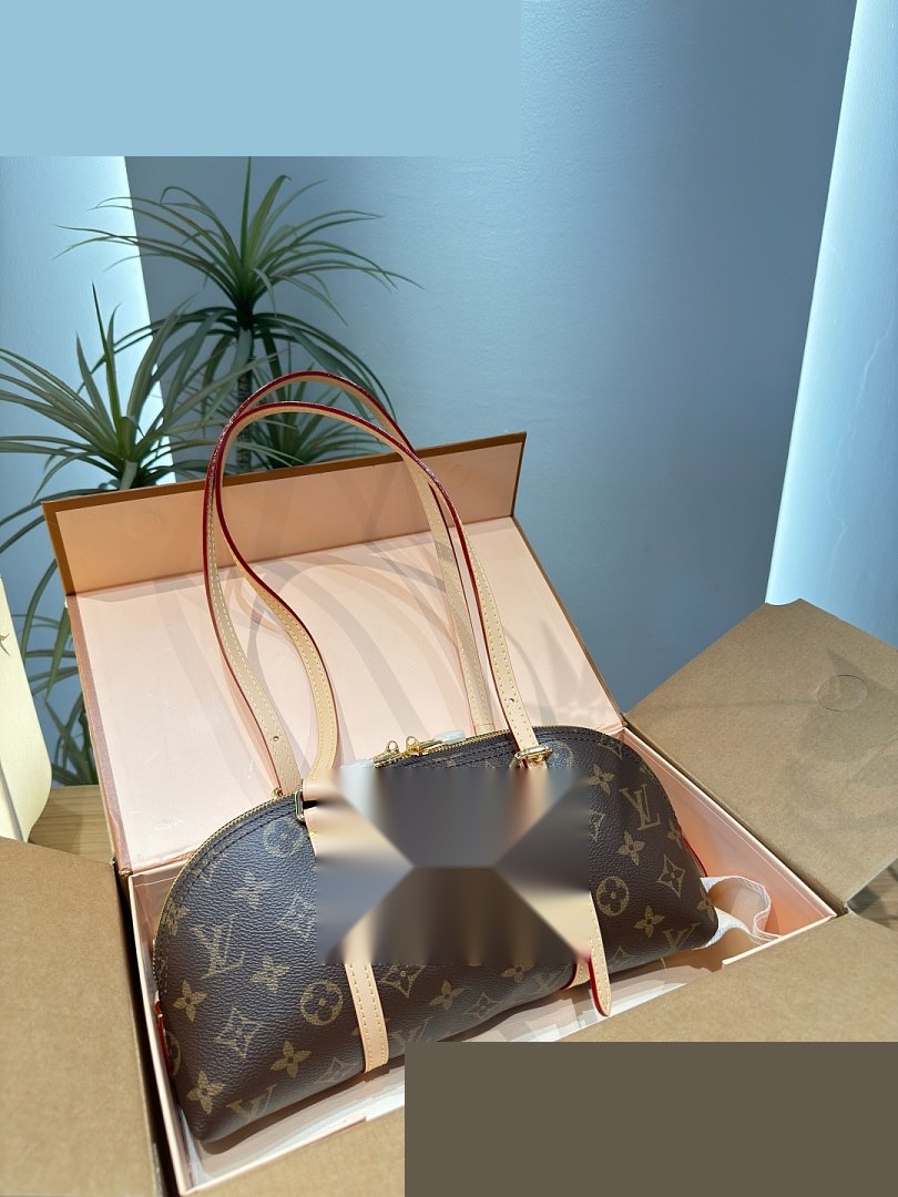 LV Bag 376