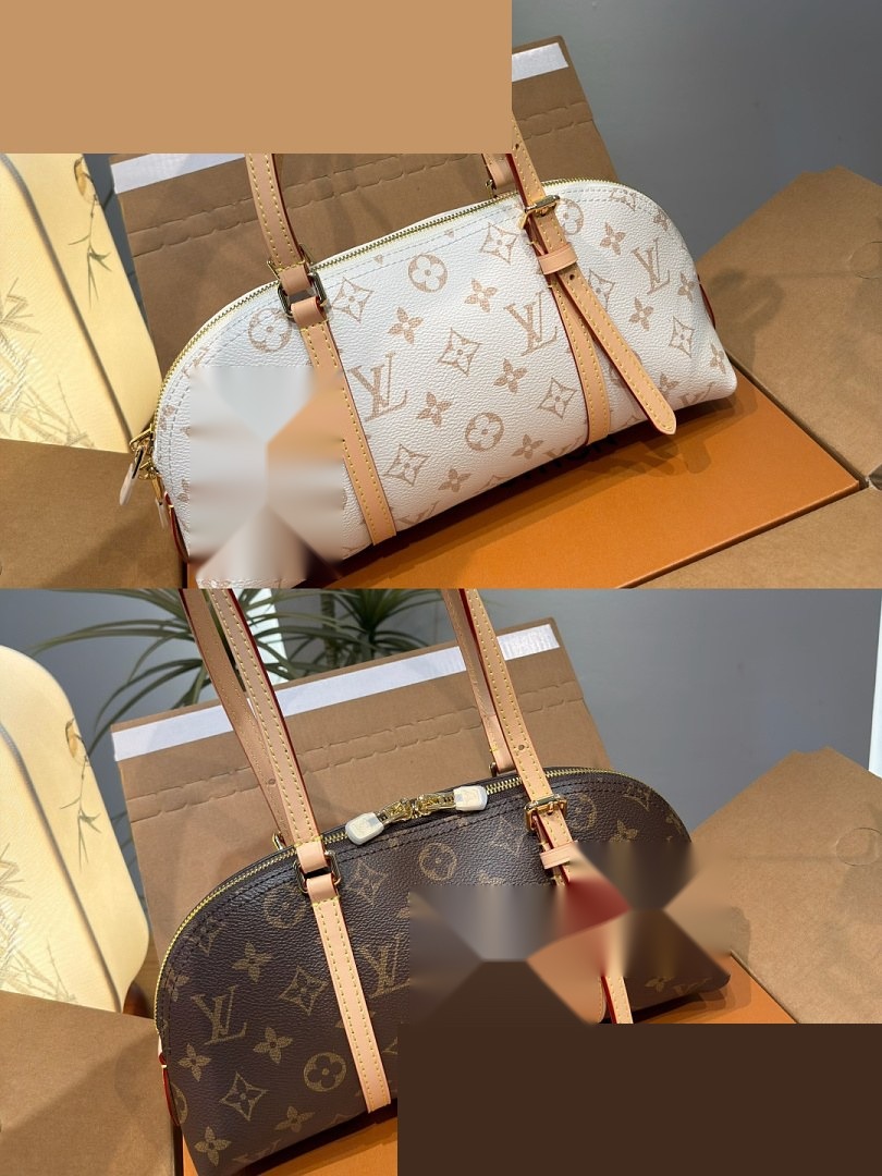 LV Bag 377