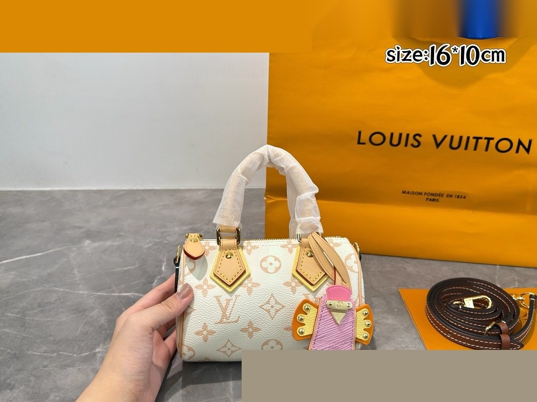 LV Bag 404
