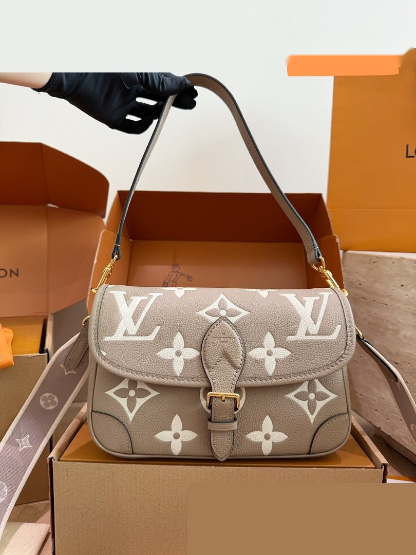LV Bag 443