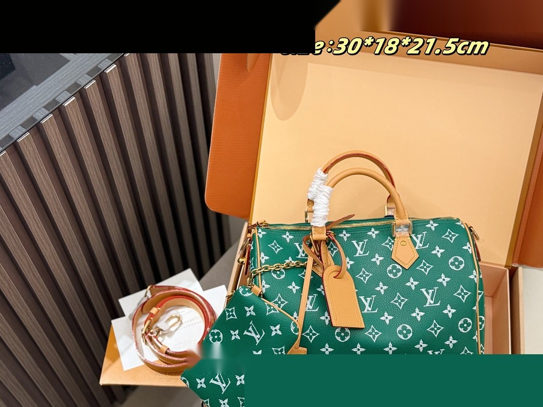 LV Bag 459