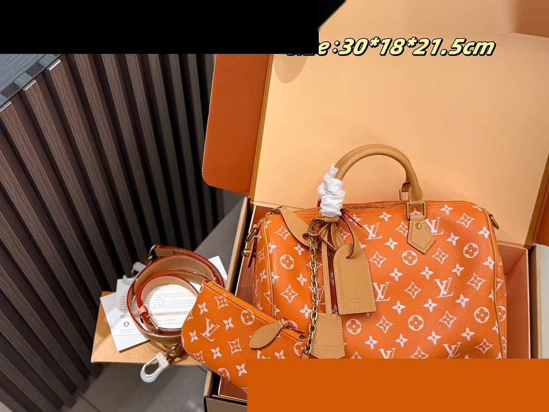 LV Bag 460