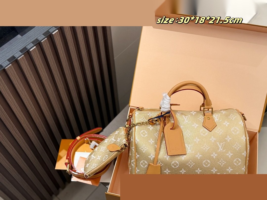 LV Bag 462