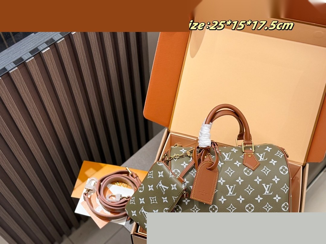 LV Bag 469