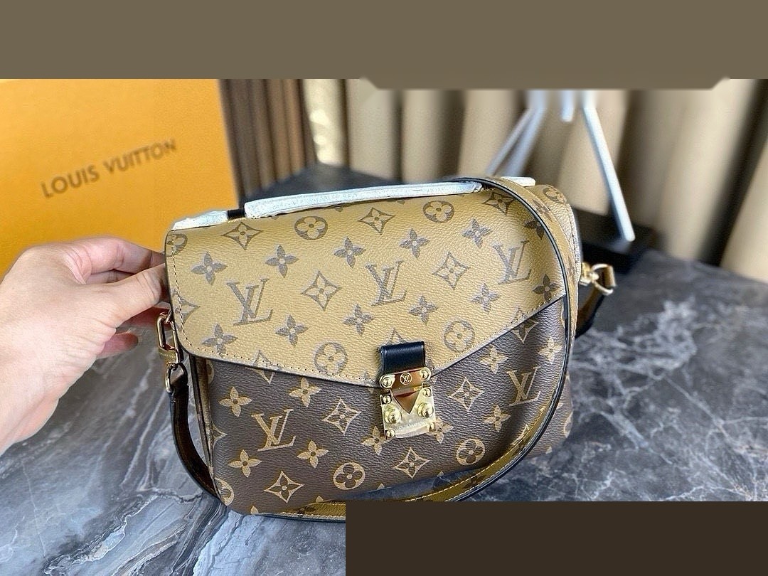 LV Bag 487