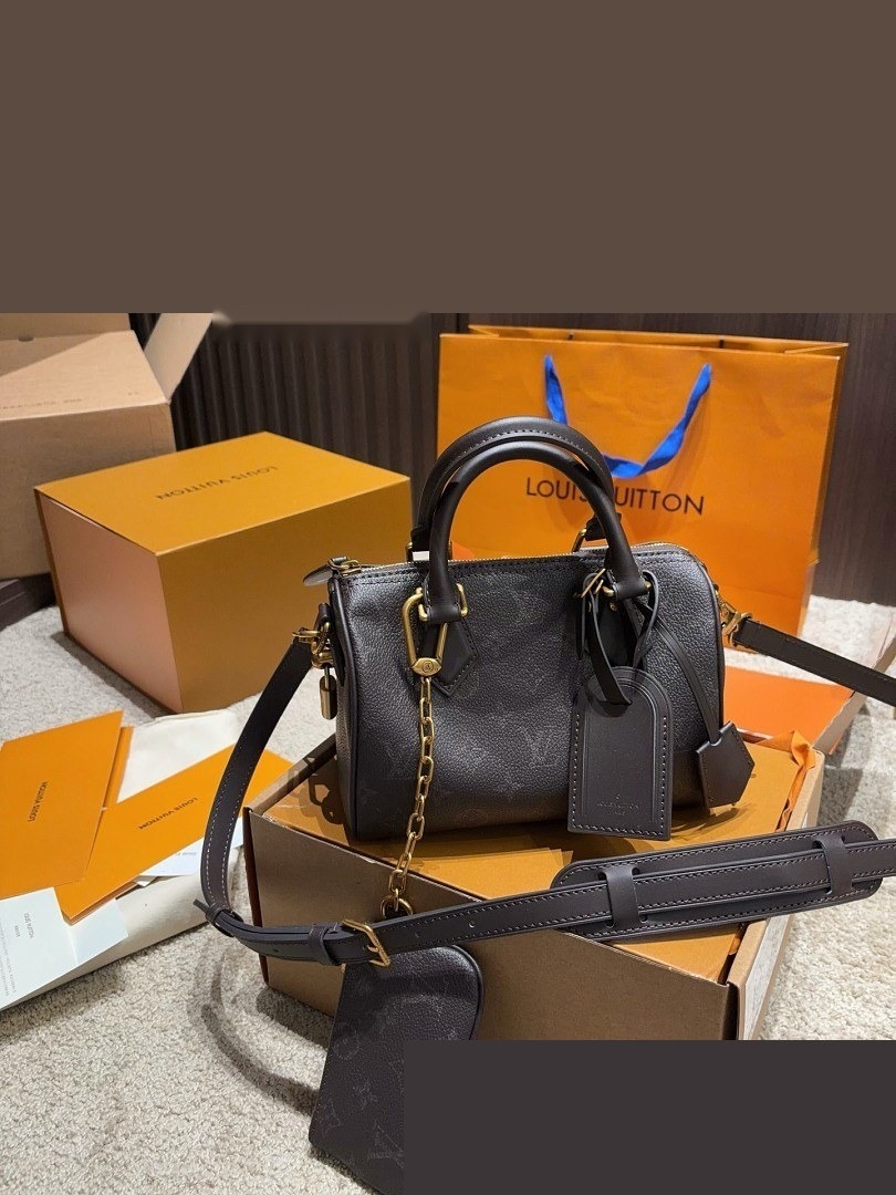 LV Bag 489