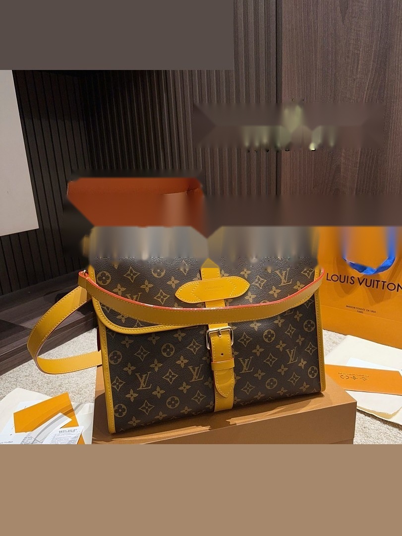 LV Bag 496