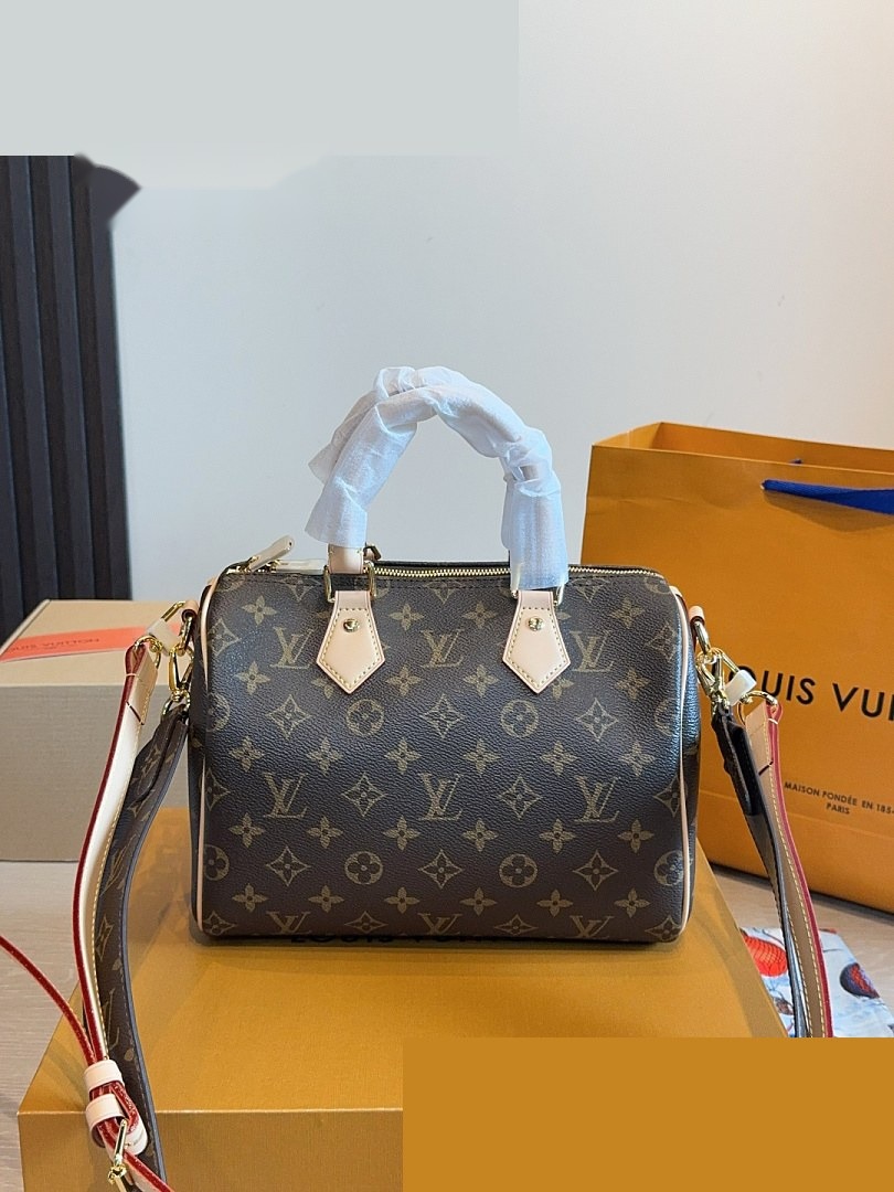 LV Bag 498