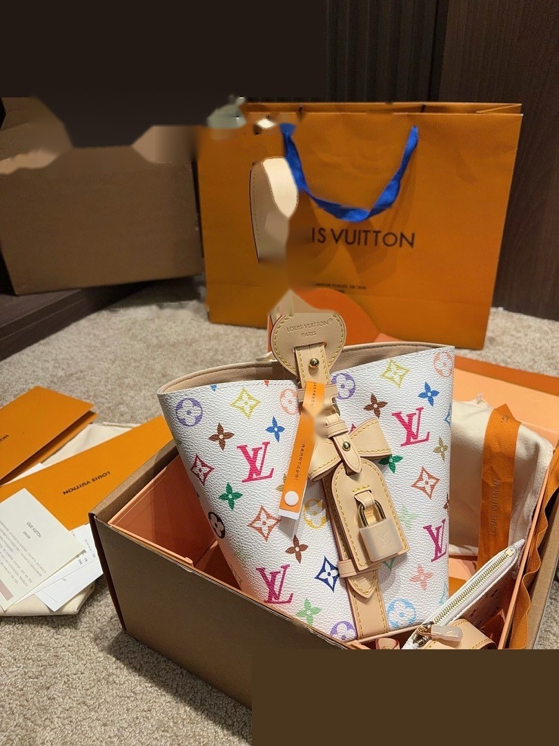 LV Bag 500
