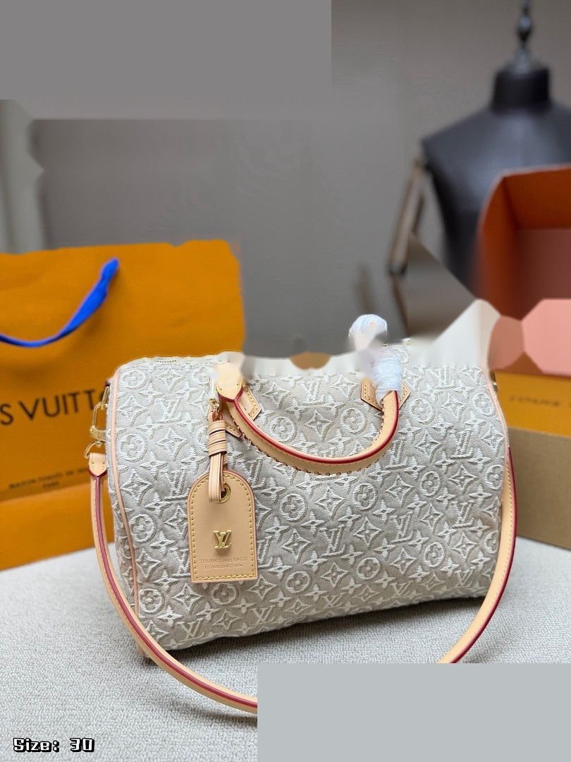 LV Bag 509